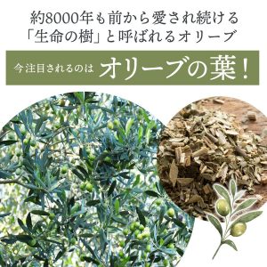 香川県産オリーブほうじ茶　（5g×4パック）