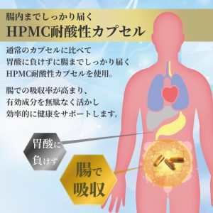 5-ALA＋NMN＋CoQ10サプリメント 60粒入り