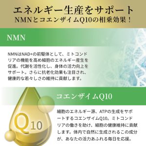 5-ALA＋NMN＋CoQ10サプリメント 60粒入り