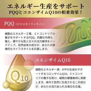 NMN 30000+PQQ+プラセンタ サプリメント 90粒入り